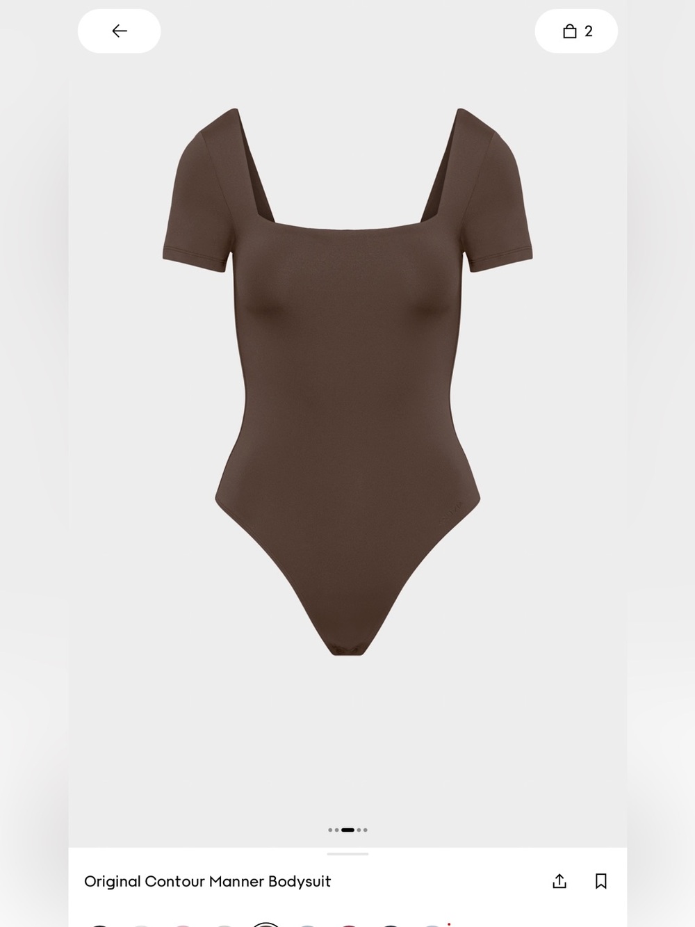 Aritzia Contour Manner Bodysuit in brown
